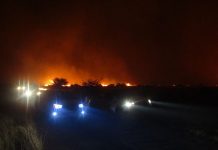 Ten-fold increase in Free State wildfires so far this year