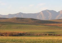 SA agribusiness confidence at its highest level on record