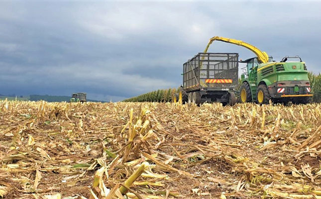 Getting a silage maize crop into the bunker chop-chop Getting a silage maize crop into the bunker chop-chop