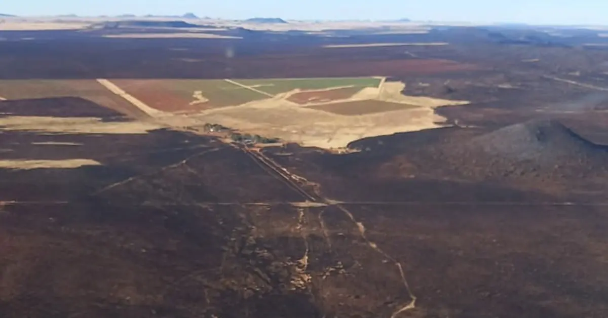 Free State wildfires destroy 60 000ha of veld