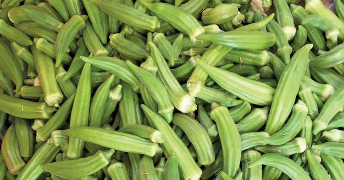 Limpopo farmer gives indigenous okra a boost