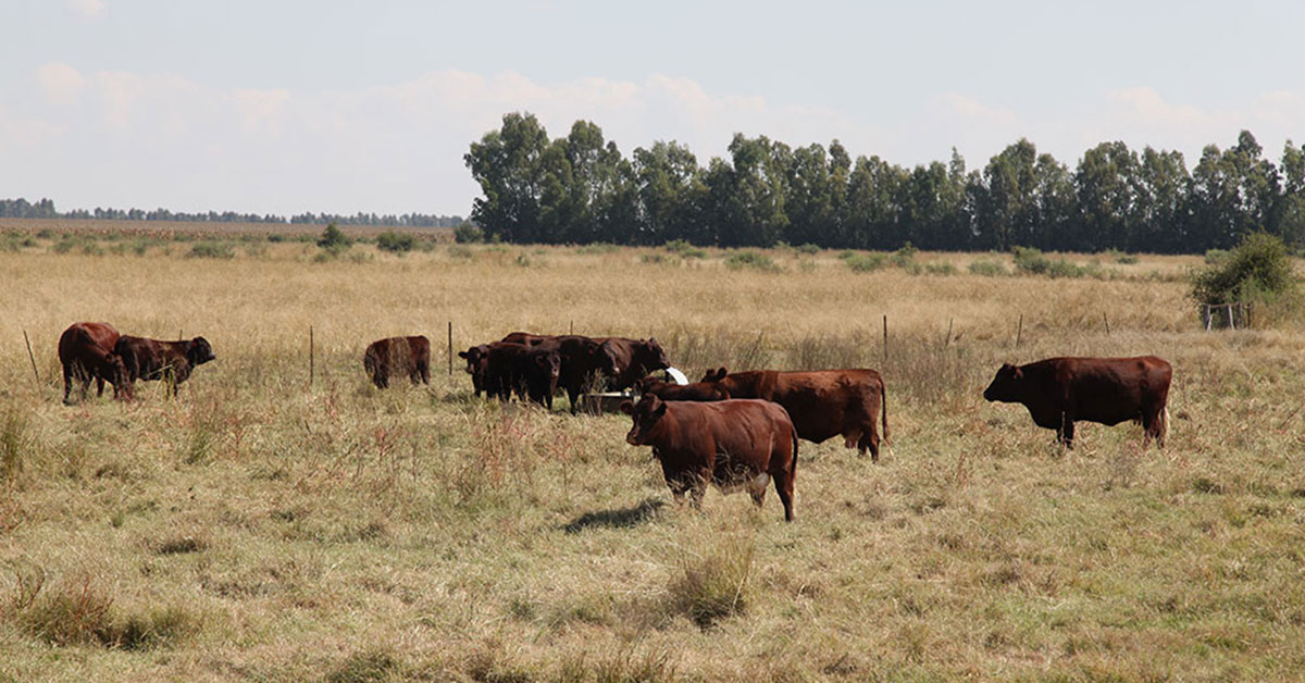 ‘Don’t complain about stock theft cases online’