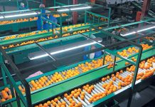 EU Green Deal could slash SA food exports to Europe