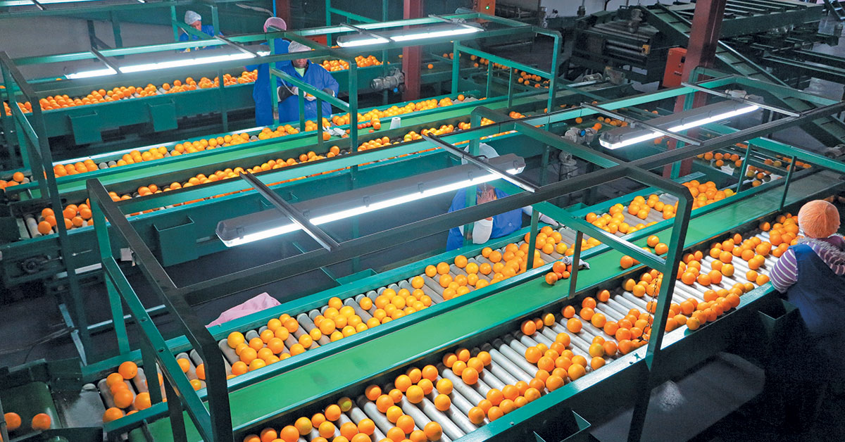 EU Green Deal could slash SA food exports to Europe