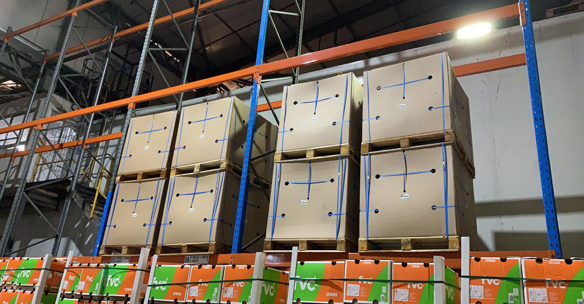 Farming bodies join hands to supply food aid after unrest