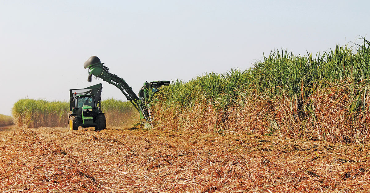 Food and fuel supply situation in KZN ‘dire’, says Kwanalu