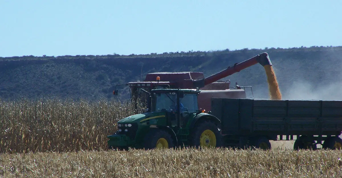 SA’s agri exports up 30% for first six months of 2021