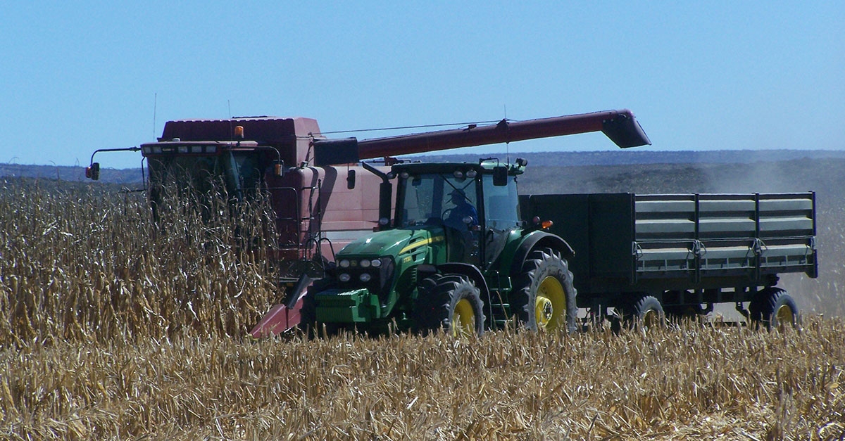 Fuel price hike will erode recent gains in farming sector