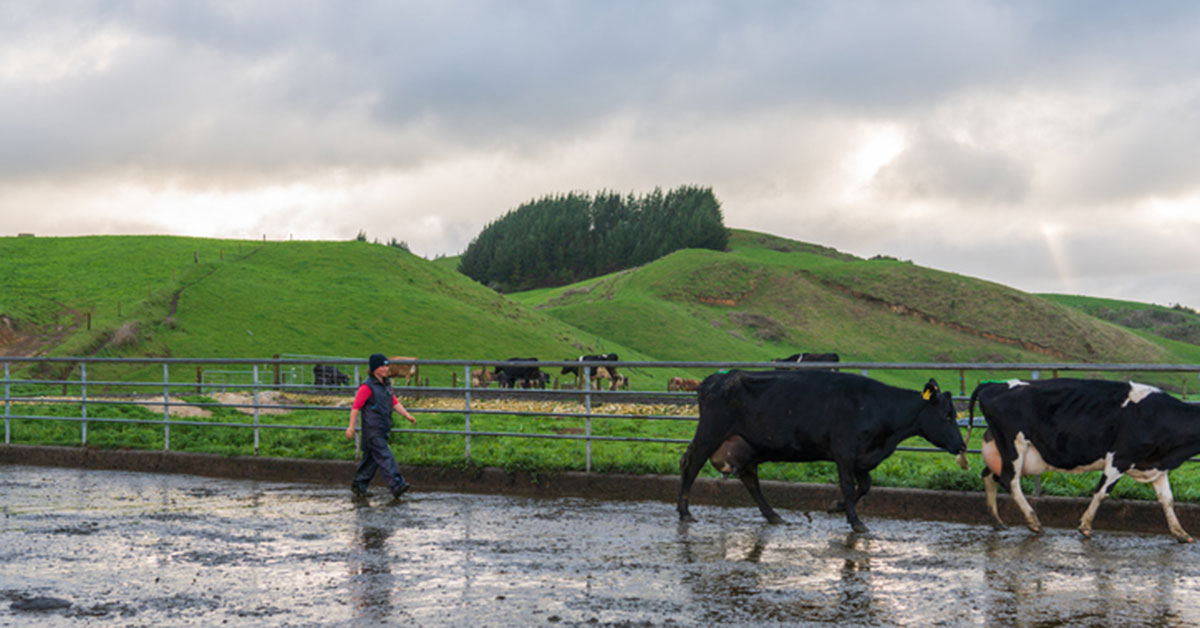 ‘New Zealand agri sector needs more women leaders’