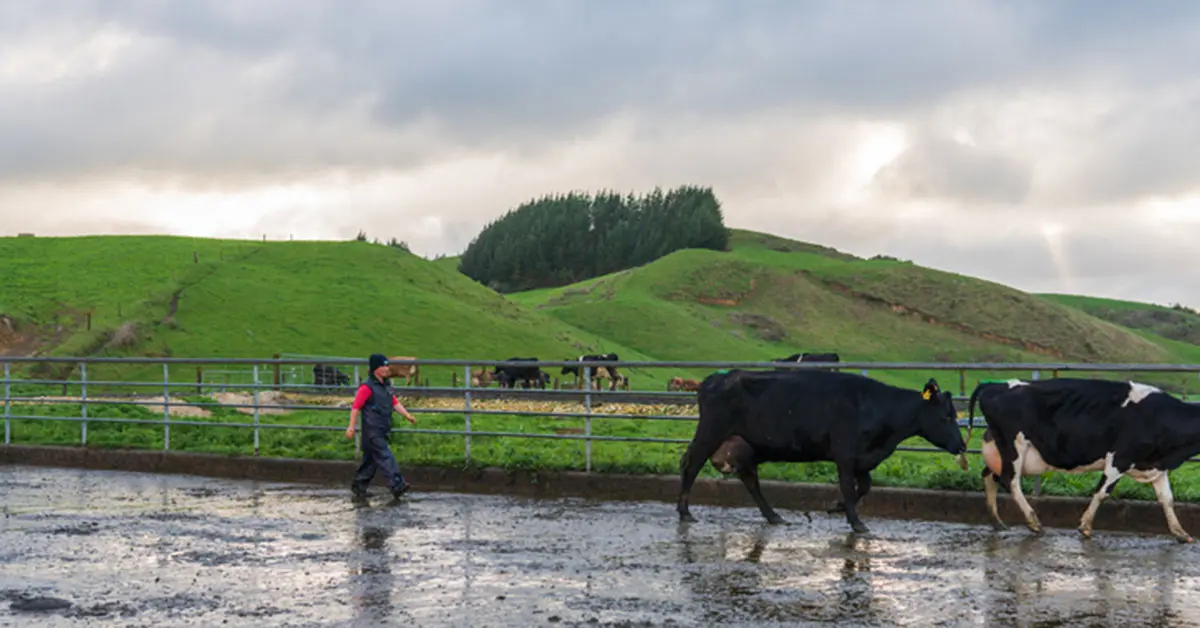‘New Zealand agri sector needs more women leaders’