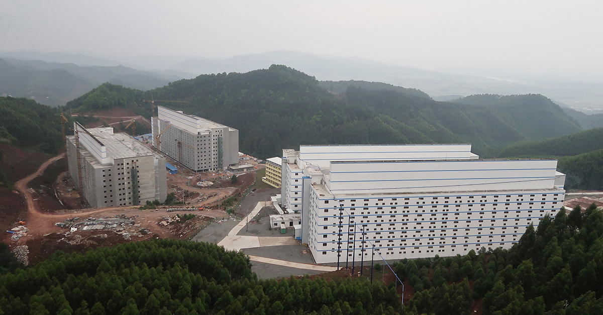 China builds mega pig ‘hotels’ to improve biosecurity