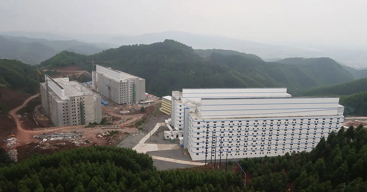 China builds mega pig ‘hotels’ to improve biosecurity