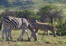 Game industry still losing jobs and revenue due to COVID-19