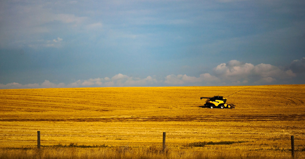 Wheat buyers in Asia face potential shortages