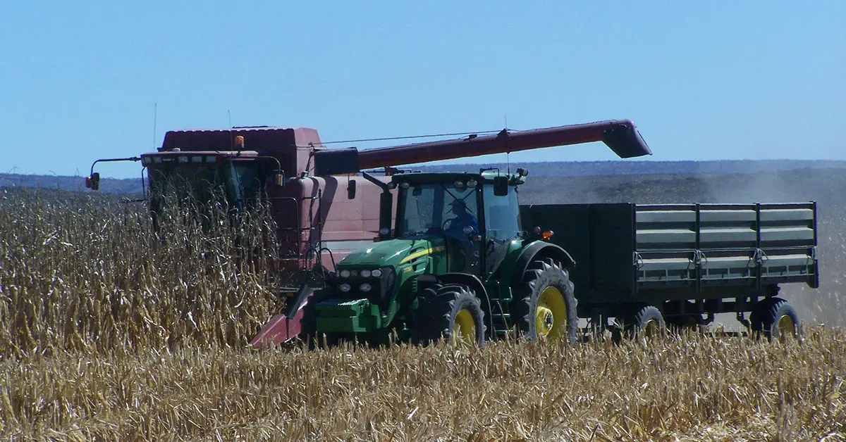 Strong performance for agriculture in latest GDP figures
