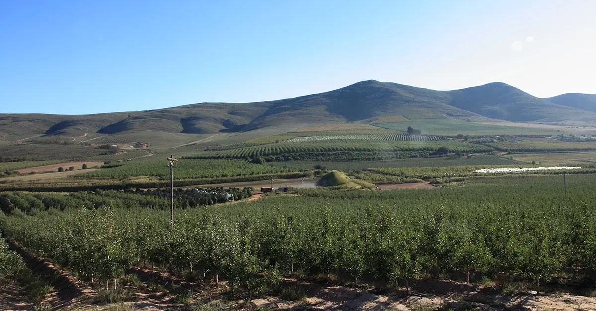 How two brothers built a R100-million farming business in 10 years