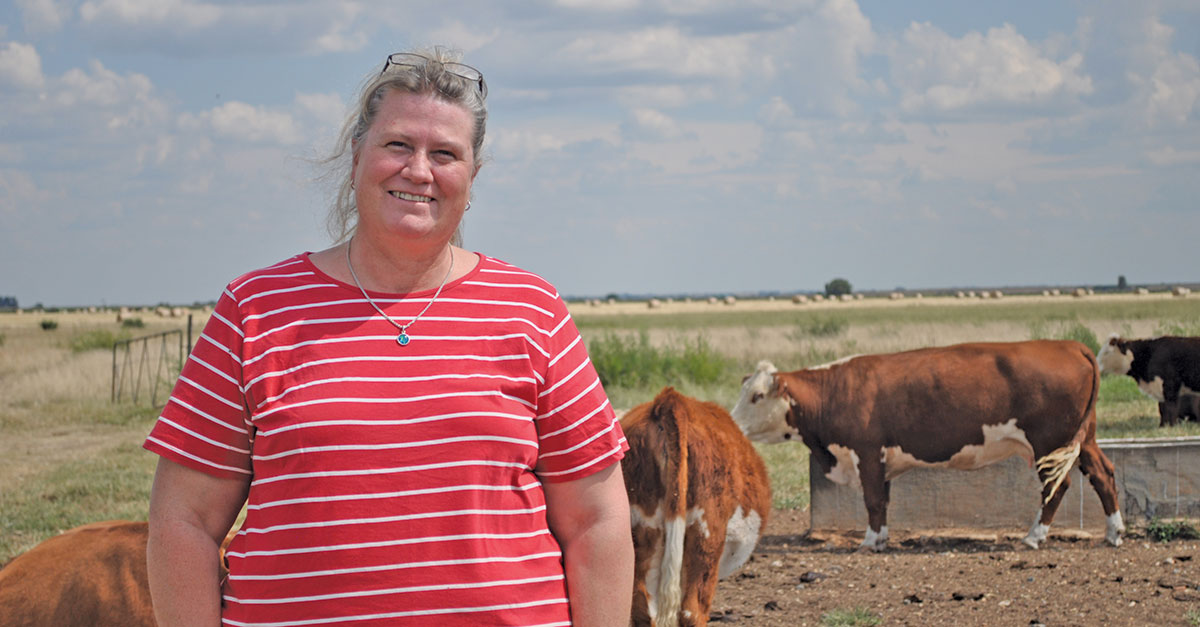 Breeding for efficiency adds value for this cattle farmer