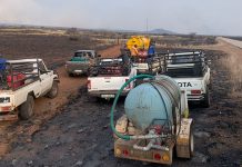 One million hectares of grazing destroyed by wildfires