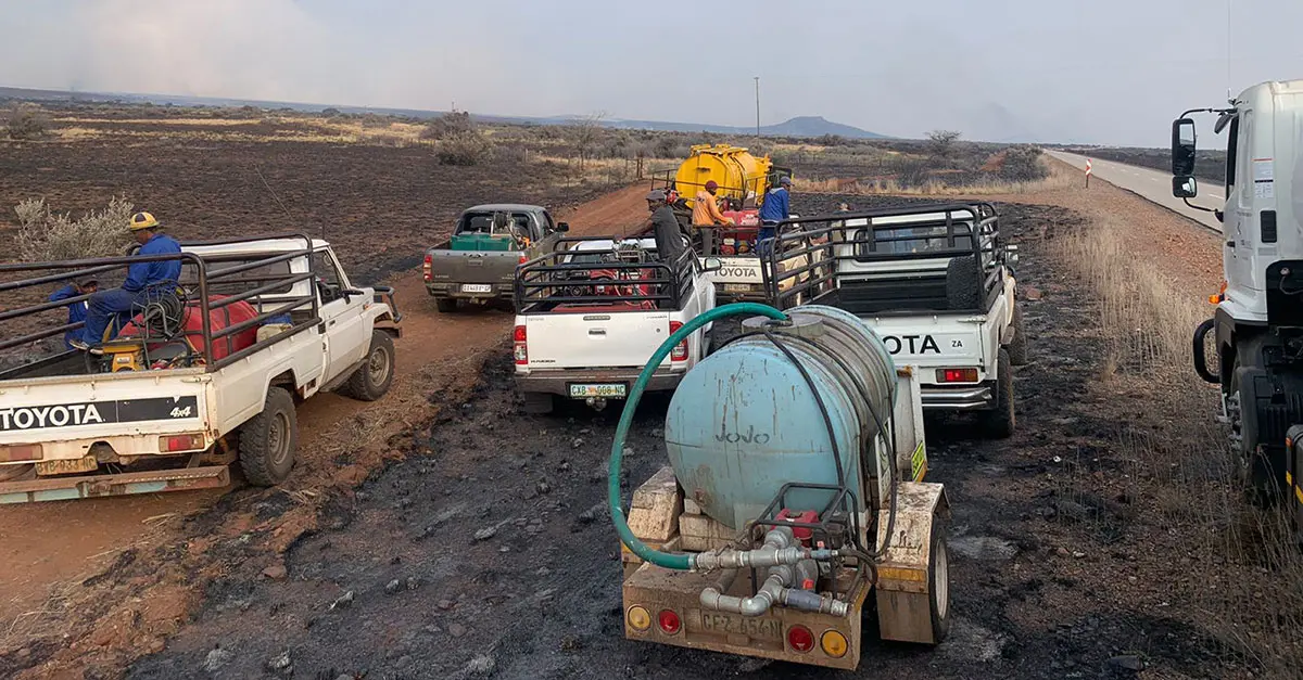 One million hectares of grazing destroyed by wildfires