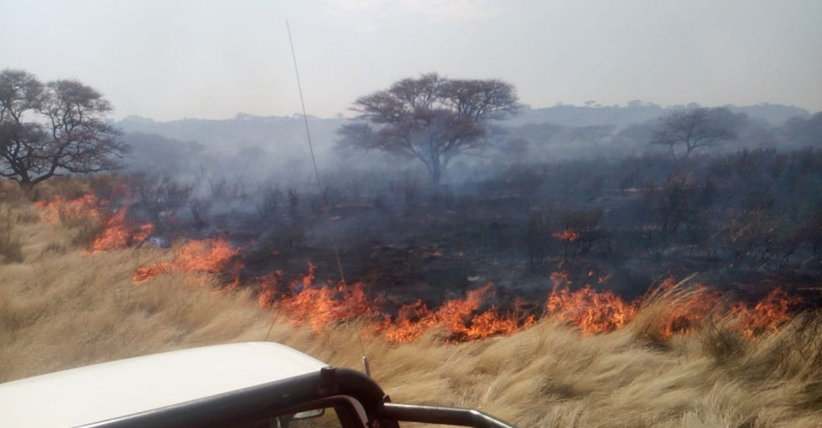 New disaster foundation formed to aid stricken farmers