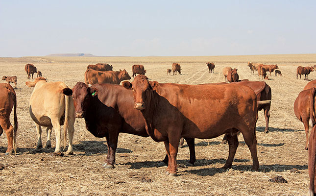 Second call for applications: Farmers support towards commercialisation Second call for applications: Farmers support towards commercialisation