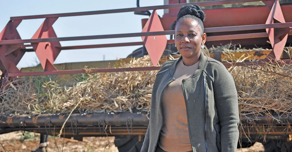 Bean aggregator helps small-scale farmers grow