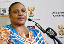 Farming ‘essential’ for growth in communal areas – Didiza