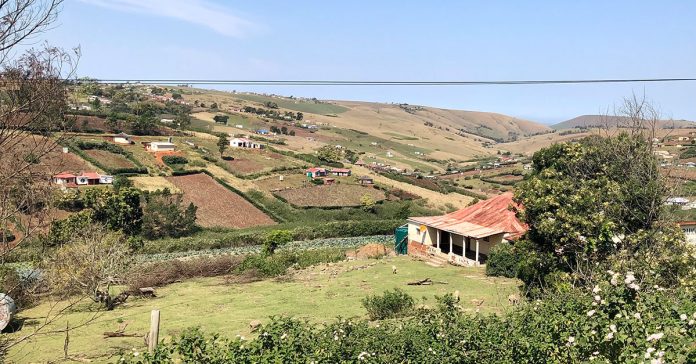 : The Department of Agriculture, Land Reform and Rural Development was expected to appoint a new director general before the end of the year, according to a departmental spokesperson.