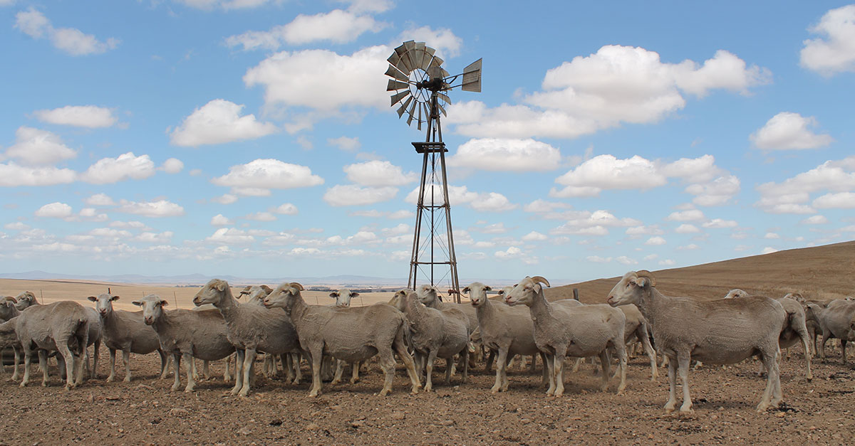 Farmers warned to be on the lookout for digital scams