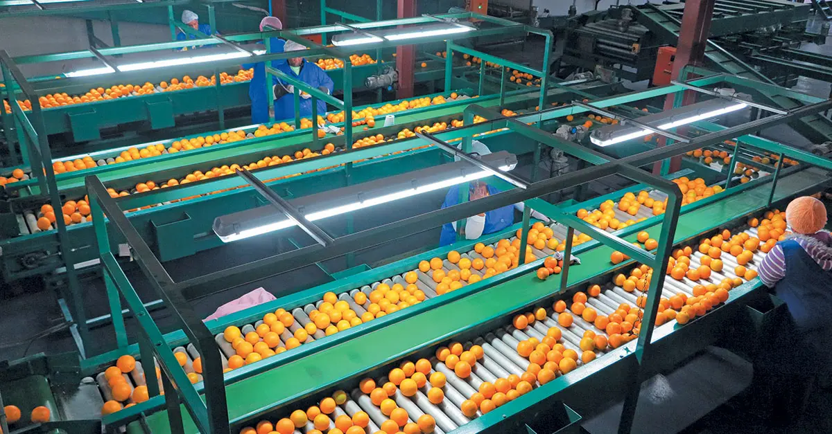 SA’s rolling blackouts driving up farmers’ production costs