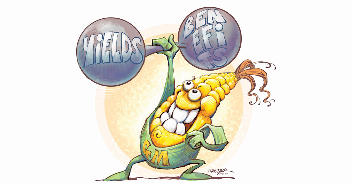 The economic and ecosystem impacts of GM maize in SA