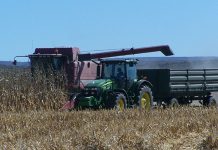 Strong results for Kaap Agri despite major challenges