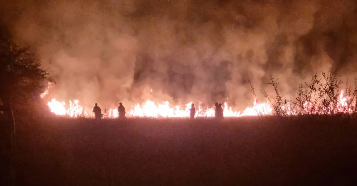 Over two million hectares destroyed by wildfires in Namibia