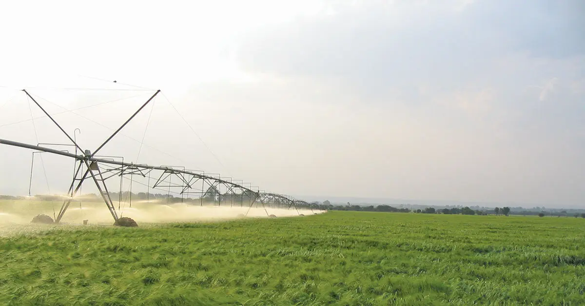 Integrated pest management: Taking care of crop protectors