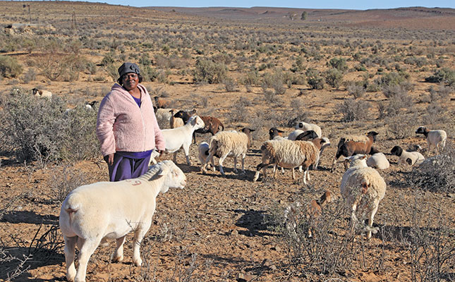Sheep farmer creates her own work and success Sheep farmer creates her own work and success