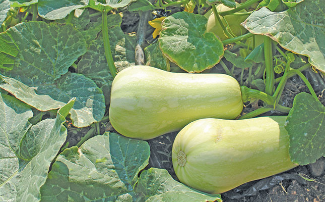 How to start farming with R1 million How to start farming with R1 million