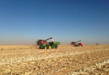 Large grain harvest, good prices bolster Senwes results