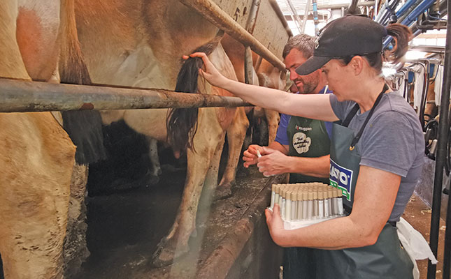 Managing mastitis in dairy cows Managing mastitis in dairy cows