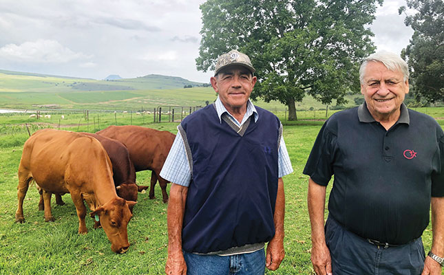 Droughtmasters prove their worth in stud and commercial herds Droughtmasters prove their worth in stud and commercial herds