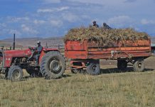 ‘Minimum wage should create opportunities for the unemployed’