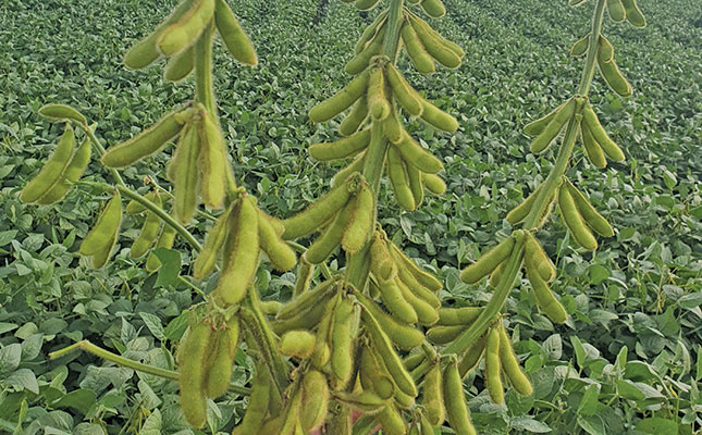 A six-step method for maximising soya bean yield A six-step method for maximising soya bean yield