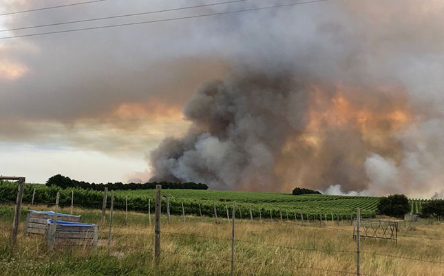 Thousands of hectares destroyed in Kleinmond wildfire Thousands of hectares destroyed in Kleinmond wildfire