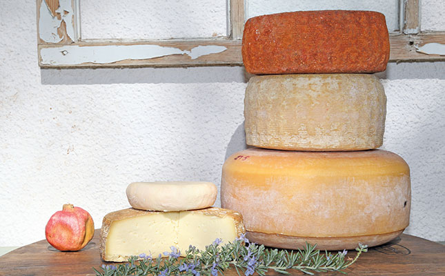 Karoo sheep farm survives drought with beer and cheese
