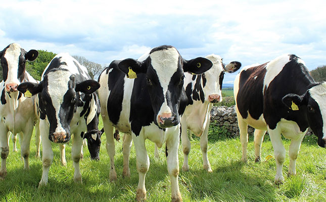 Plant-based ‘dairy’ fails to convert Australian milk-drinkers Plant-based ‘dairy’ fails to convert Australian milk-drinkers