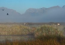 World Wetlands Day: SA farmers praised for wetland conservation