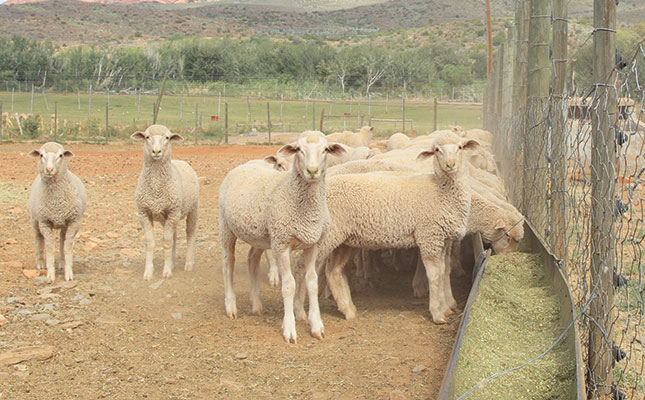 A herd health and production management plan