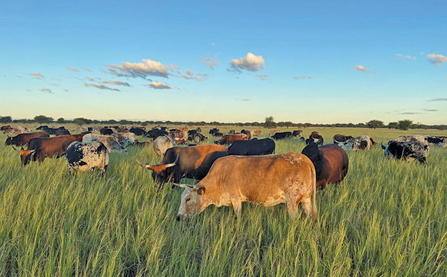 Regenerative grazing: realising maximum sustainable profit/ha Regenerative grazing: realising maximum sustainable profit/ha