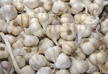 Garlic woes return after COVID-19 demand spike