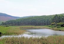 ‘SA is sitting on a water-pollution time bomb’