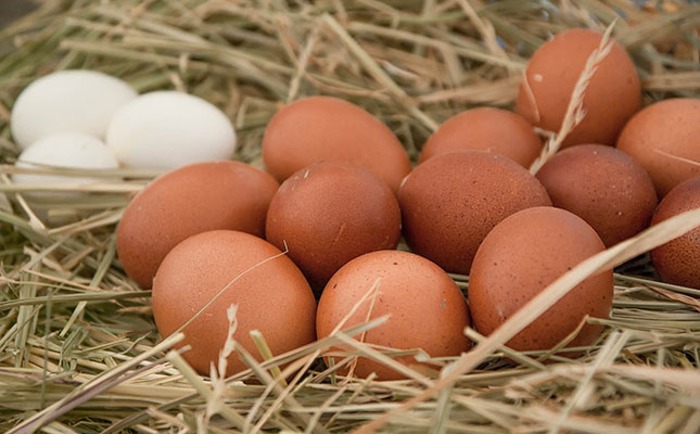 Australian consumers’ demand for free-range eggs faltering Australian consumers’ demand for free-range eggs faltering